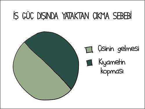 Koala Gibi Uykuyu Seven İnsanları Anlatan En Tatlı Grafikler