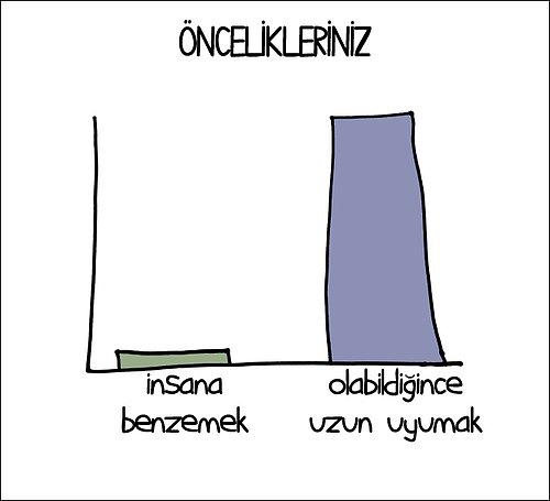 Koala Gibi Uykuyu Seven İnsanları Anlatan En Tatlı Grafikler