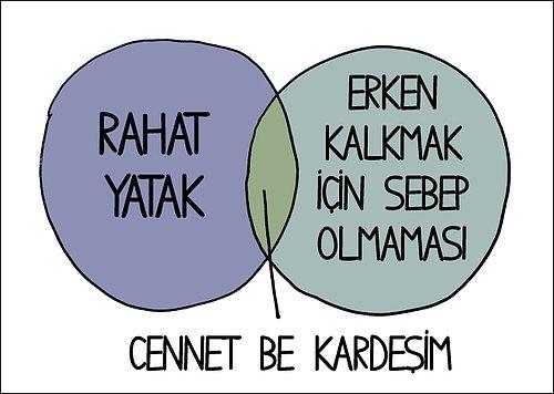 Koala Gibi Uykuyu Seven İnsanları Anlatan En Tatlı Grafikler