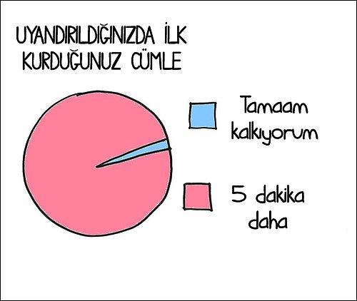 Koala Gibi Uykuyu Seven İnsanları Anlatan En Tatlı Grafikler