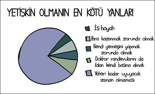 Koala Gibi Uykuyu Seven İnsanları Anlatan En Tatlı Grafikler