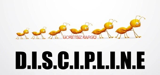İnsanlığın Sadece %2'sinin Sahip Olduğu INTJ Kişilik Tipine Sahip Olabileceğinizi Gösteren Özellikler
