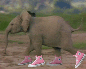 Senelerin Eskimeyen Güzelliği Converse Neden Kalbimizin Biricik Ayakkabısı?