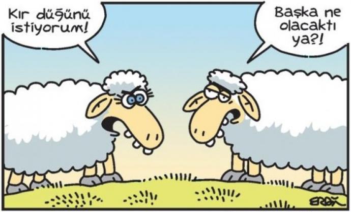 Karikatüristik Patinaj Dünya Şampiyonası! Yüzde Tebessüm Ettirecek Eğlenceli Karikatürler!