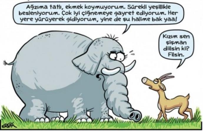 Karikatüristik Patinaj Dünya Şampiyonası! Yüzde Tebessüm Ettirecek Eğlenceli Karikatürler!