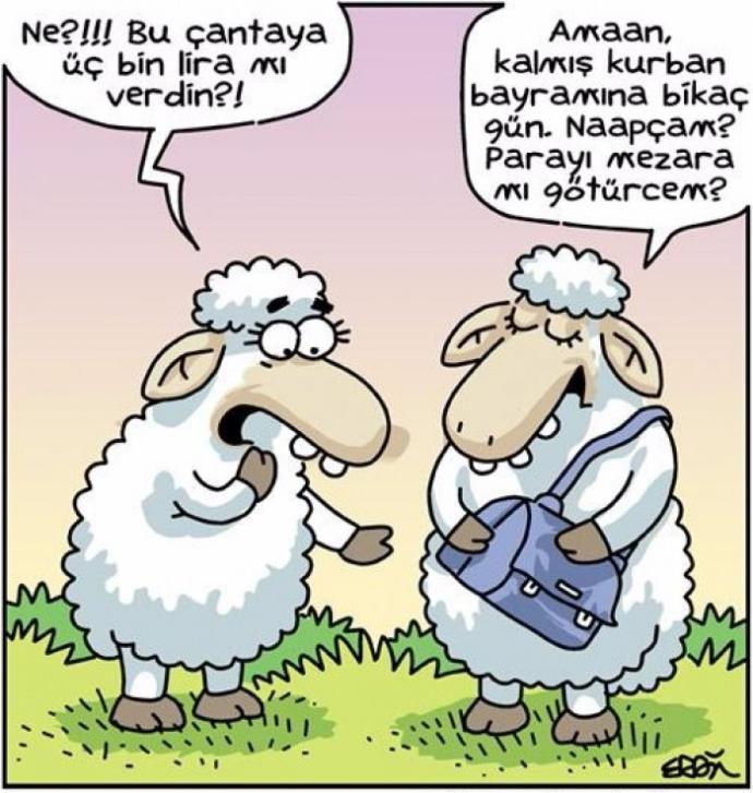 Karikatüristik Patinaj Dünya Şampiyonası! Yüzde Tebessüm Ettirecek Eğlenceli Karikatürler!