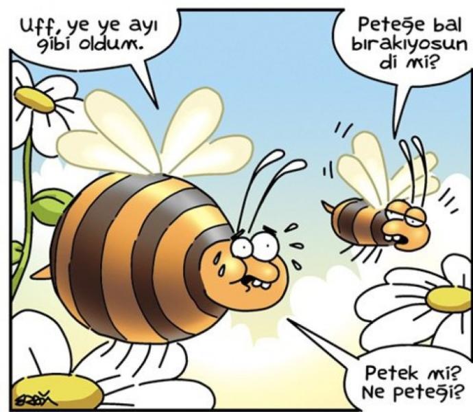 Karikatüristik Patinaj Dünya Şampiyonası! Yüzde Tebessüm Ettirecek Eğlenceli Karikatürler!
