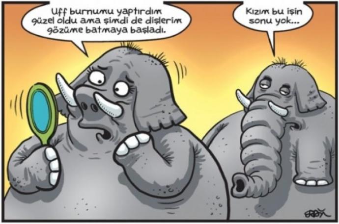 Karikatüristik Patinaj Dünya Şampiyonası! Yüzde Tebessüm Ettirecek Eğlenceli Karikatürler!