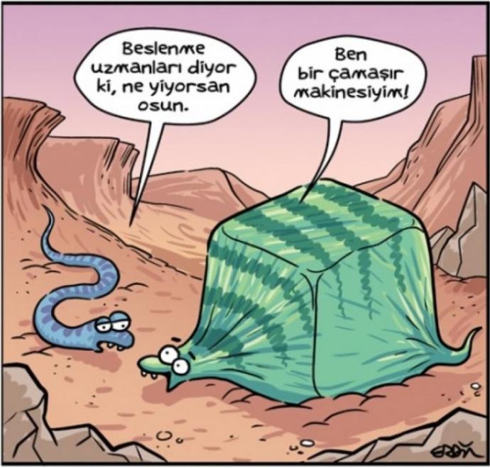 Karikatüristik Patinaj Dünya Şampiyonası! Yüzde Tebessüm Ettirecek Eğlenceli Karikatürler!
