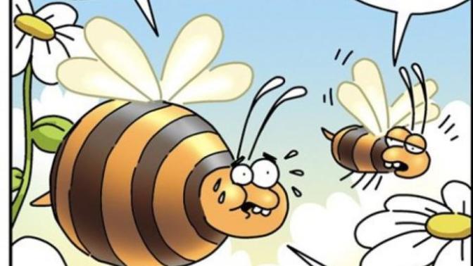 Karikatüristik Patinaj Dünya Şampiyonası! Yüzde Tebessüm Ettirecek Eğlenceli Karikatürler!