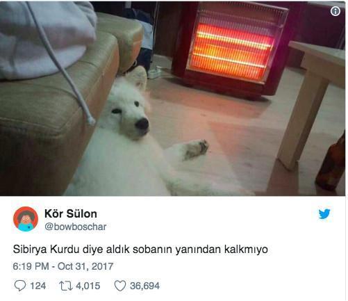 2017 Yılında Bizi Güldüren 7 Tweet!