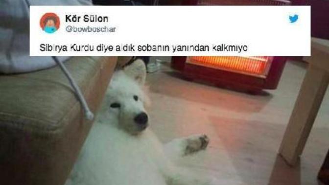 2017 Yılında Bizi Güldüren 7 Tweet!