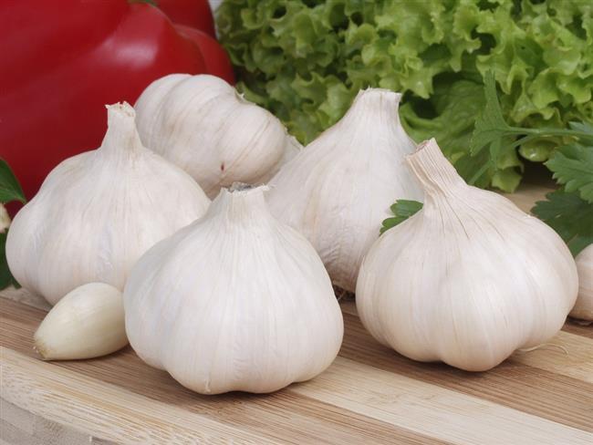 Sarımsağın Saymakla Bitmeyen Faydaları Nelerdir?