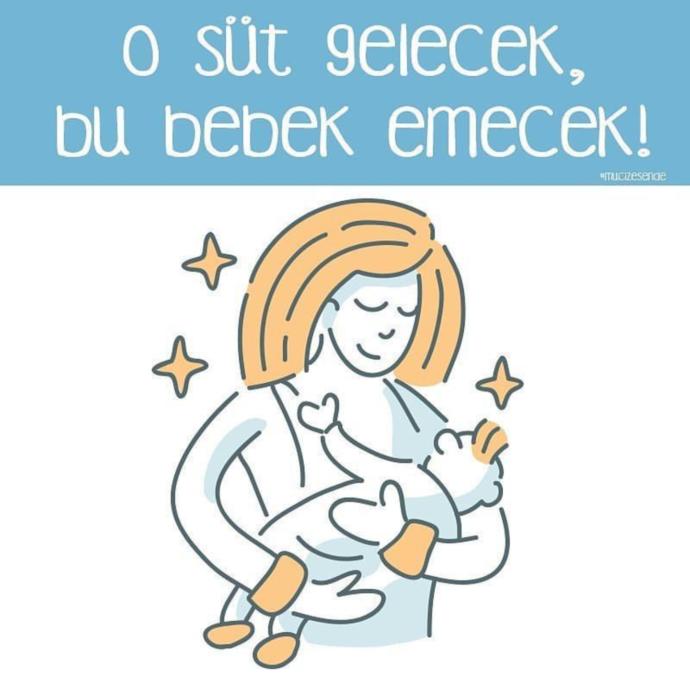 Sağlıkçı Bir Bireyin Kaleminden Hamileliğin Aşamaları Nelerdir?