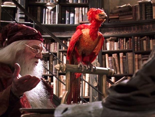 Harry Potter Evrenindeki 10 Sihirli Yaratık!