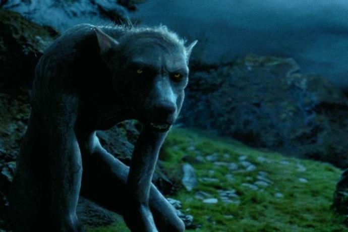 Harry Potter Evrenindeki 10 Sihirli Yaratık!