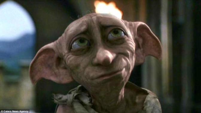 Harry Potter Evrenindeki 10 Sihirli Yaratık!