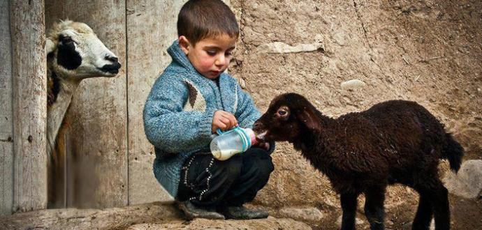 Yalnızlığı Kader Değil Tercih Olarak Gören İnsanların Ortak Özellikleri Nelerdir?