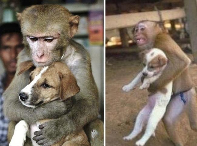 Mevsim Kış Ama Bu Fotoğraflar İçinizi Kömür Sobası Gibi Isıtacak!