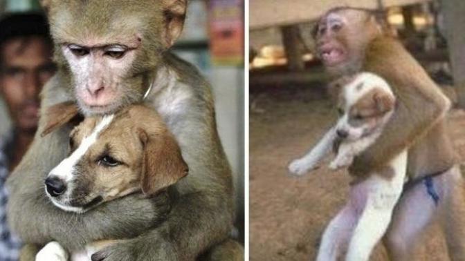 Mevsim Kış Ama Bu Fotoğraflar İçinizi Kömür Sobası Gibi Isıtacak!