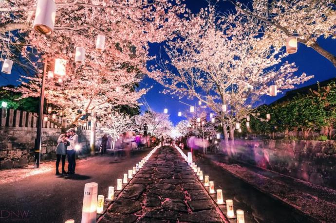 Japonya'nın Her Kış Aralıksız Düzenlediği Bir Festival: Winter Light Festivali