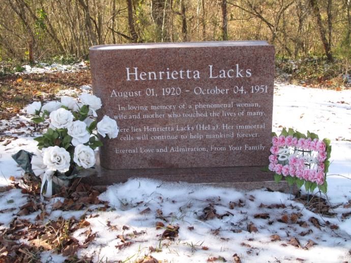 Henrietta Lacks’ın Ölümsüz Hayatı