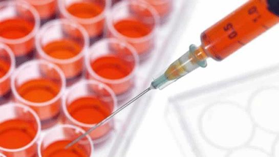 Henrietta Lacks’ın Ölümsüz Hayatı