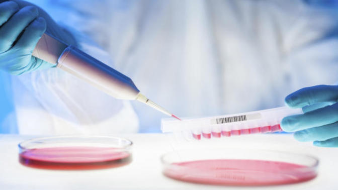 Henrietta Lacks’ın Ölümsüz Hayatı
