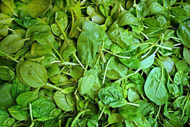 Hastalıklara Karşı Doğal Antibiyotik Etkisi Olan Besinler Nelerdir?
