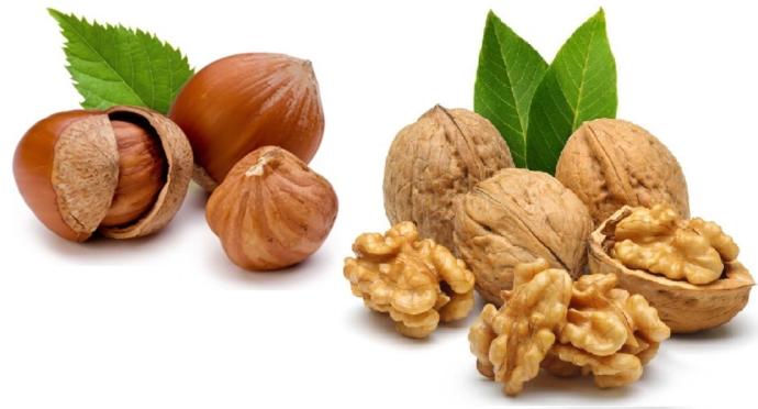 Besinlerle Beyni Geliştirmenin Yolları Nelerdir?