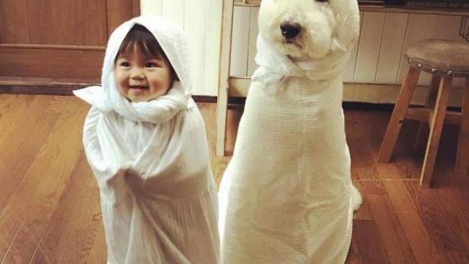 İşte Çıkarsız ve Sıcak Dostluğun Fotoğrafları: Küçük Kız ve Sevimli Köpeği!