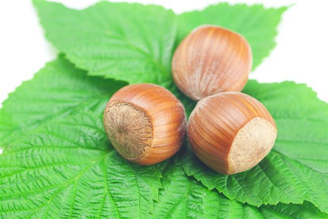 Fındığı İşlenmeden (Çiğ) Tüketmenin Faydaları Nelerdir?