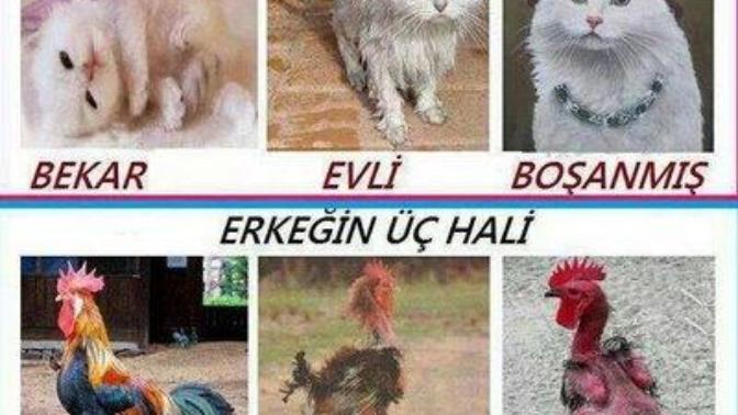 Kadınlar niye dırdır yapar?