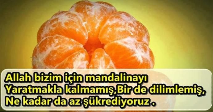 Çöpe Atmayın! Mandalina Kabuğunun Farklı Kullanım Alanları Nelerdir? 