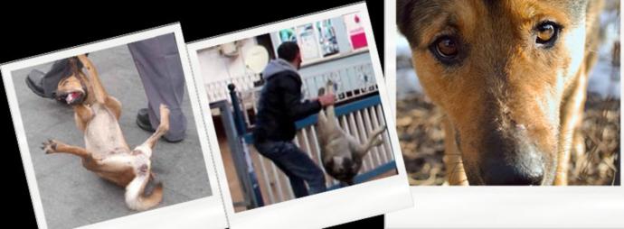 2018'de Gerçekleşirse Çok Güzel Bir Yıl Olacak Dedirten Hayaller!