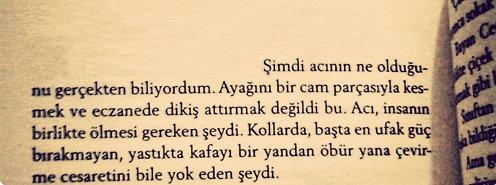Etkileyici Kitap Cümleleri! Etkileyici Kitap Sözleri! (Örnekler)