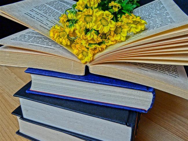 Her Kadının Kitaplığında Olması Gereken Kitaplar Nelerdir?
