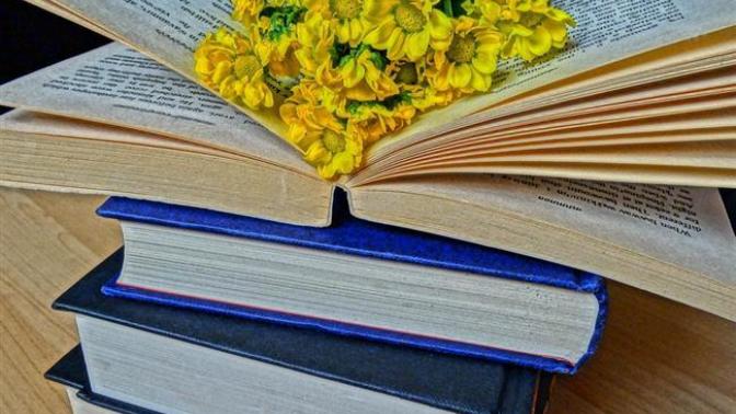 Her Kadının Kitaplığında Olması Gereken Kitaplar Nelerdir?