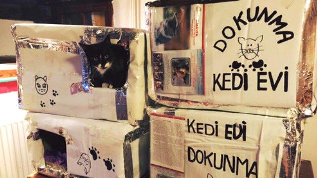 Minik Dostlarımız İçin Kış Mevsiminin Soğuk Günlerinde Yapabileceğimiz Şeyler Neler?