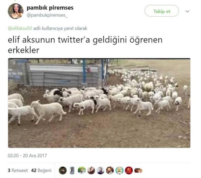 Ferrari Parçalayan Türk Model Twitter Açtı, Ortalık Alev Aldı!
