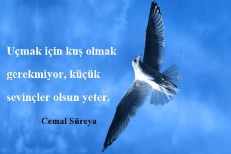 Hayatımız Boyunca Kendimize Sormamız Gereken Sorular Nelerdir?
