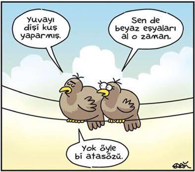Yuvayı Dişi Kuş Yaparsa Beyaz Eşyaları Erkek mi Almalı?