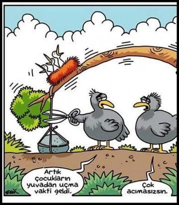 Yuvayı Dişi Kuş Yaparsa Beyaz Eşyaları Erkek mi Almalı?