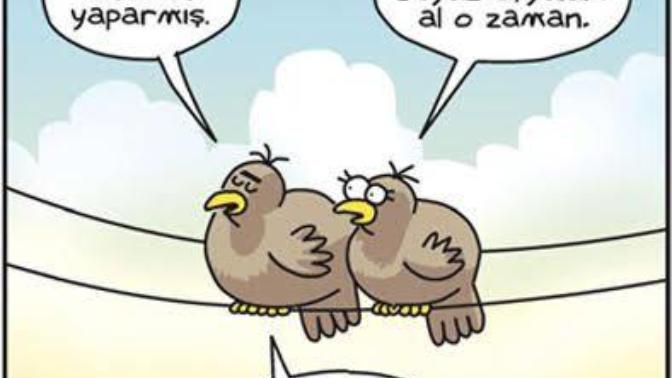 Yuvayı Dişi Kuş Yaparsa Beyaz Eşyaları Erkek mi Almalı?