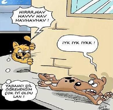 Yabancı Dil Bilmenin Ne Gibi Faydaları Var?