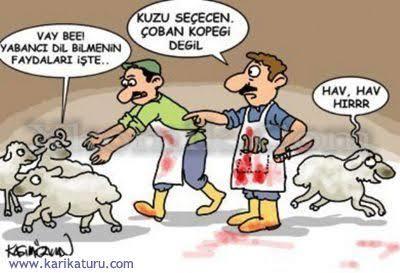 Yabancı Dil Bilmenin Ne Gibi Faydaları Var?