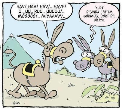 Yabancı Dil Bilmenin Ne Gibi Faydaları Var?