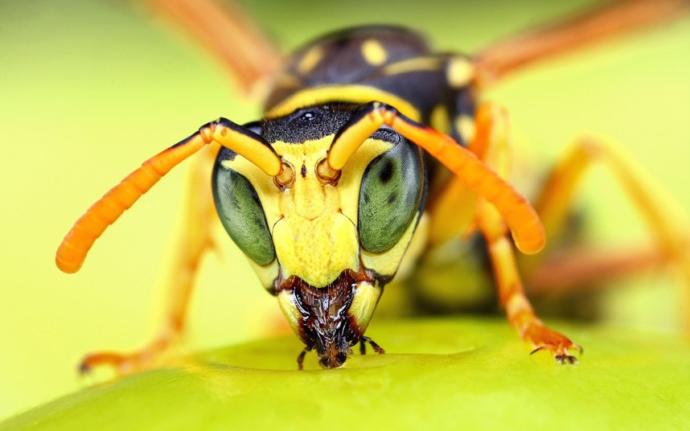 Telefonda Güzel Fotoğraf Çekebilmenin Tüyoları Nelerdir?