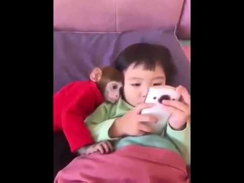 Hayvanların Bizim Dostlarımız Olduğunun Eğlenceli Örnekleri