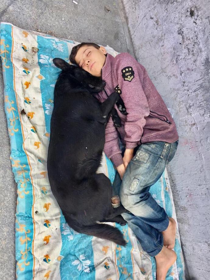 Hayvanların Bizim Dostlarımız Olduğunun Eğlenceli Örnekleri